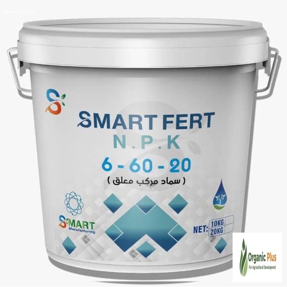smart-vert-6-60-20